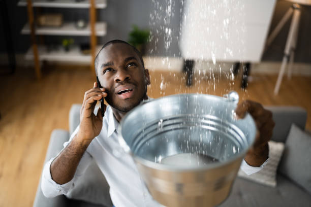 Best Residential water damage restoration  in Marienville, PA
