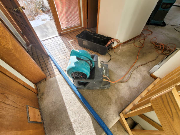 Best Ceiling water damage repair  in Marienville, PA