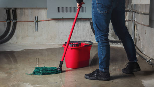Best Flooded house restoration  in Marienville, PA
