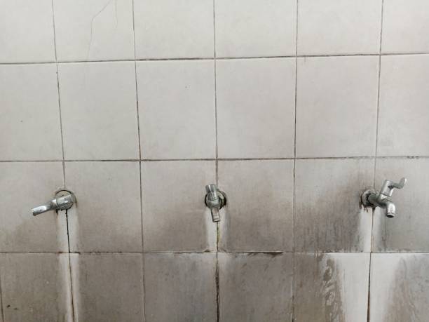 Best Basement water damage restoration  in Marienville, PA