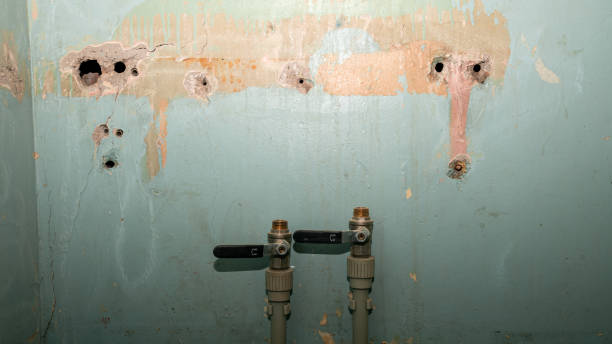 Best Carpet water damage restoration  in Marienville, PA