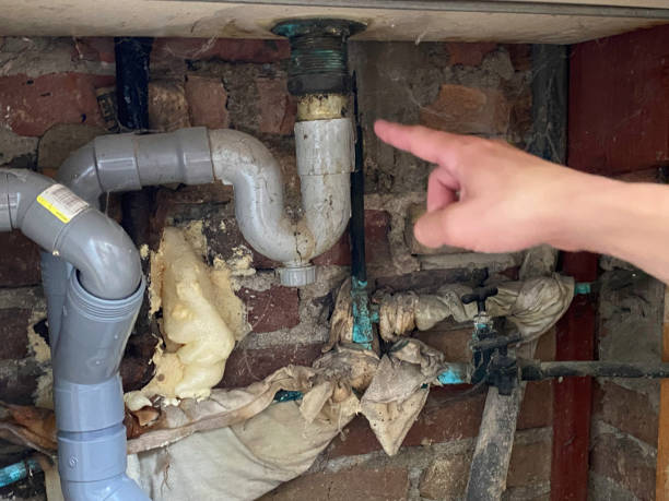Best Flood damage cleanup  in Marienville, PA