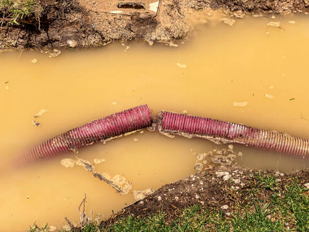 Best Water damage restoration near me  in Marienville, PA